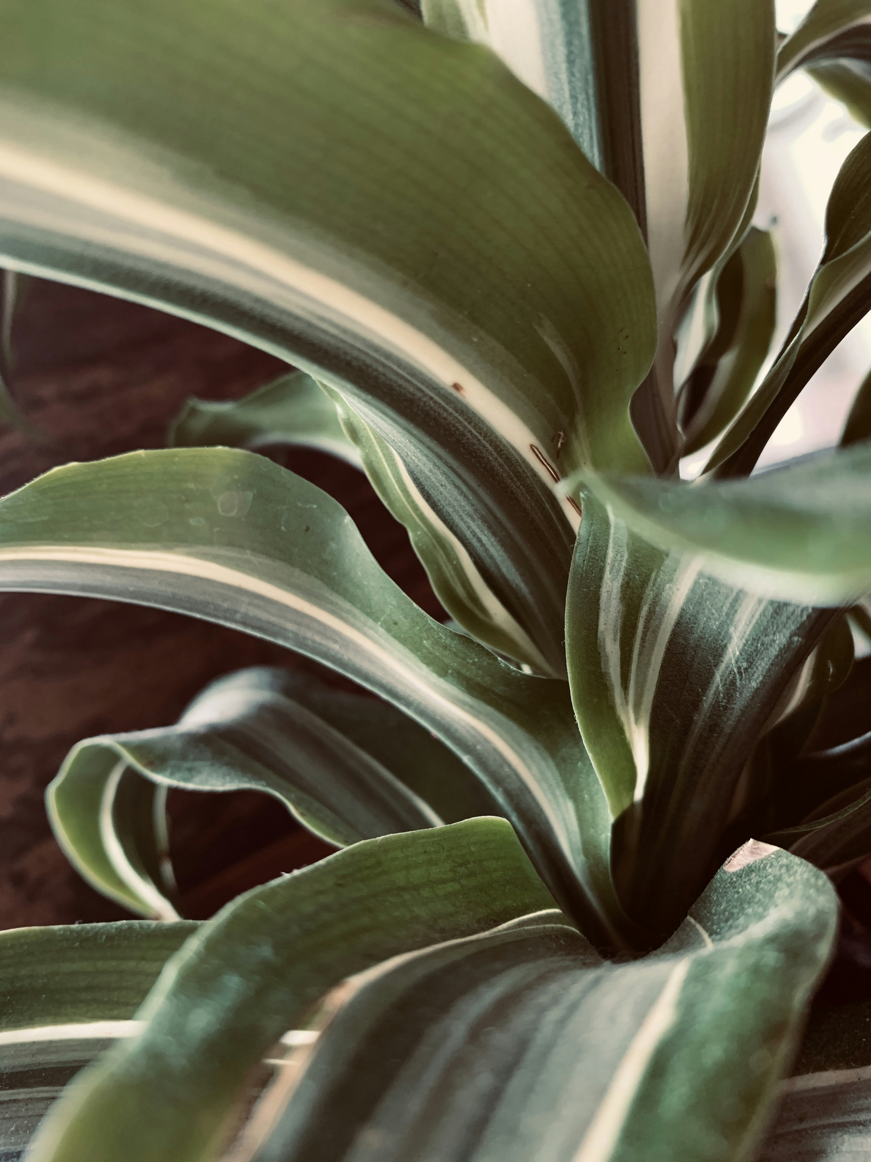 Photo by oliviapike11