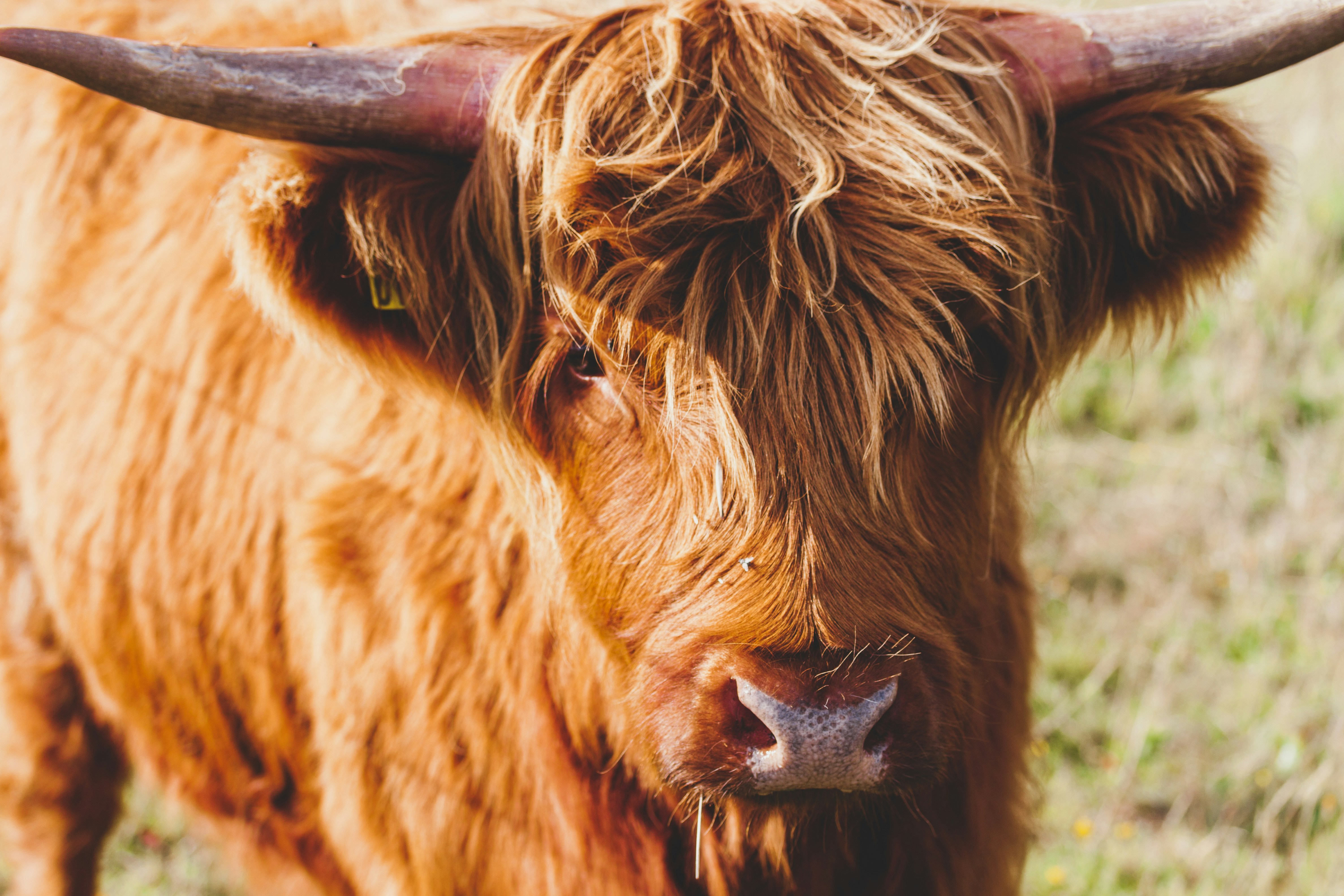 Photo by coffeecamilla