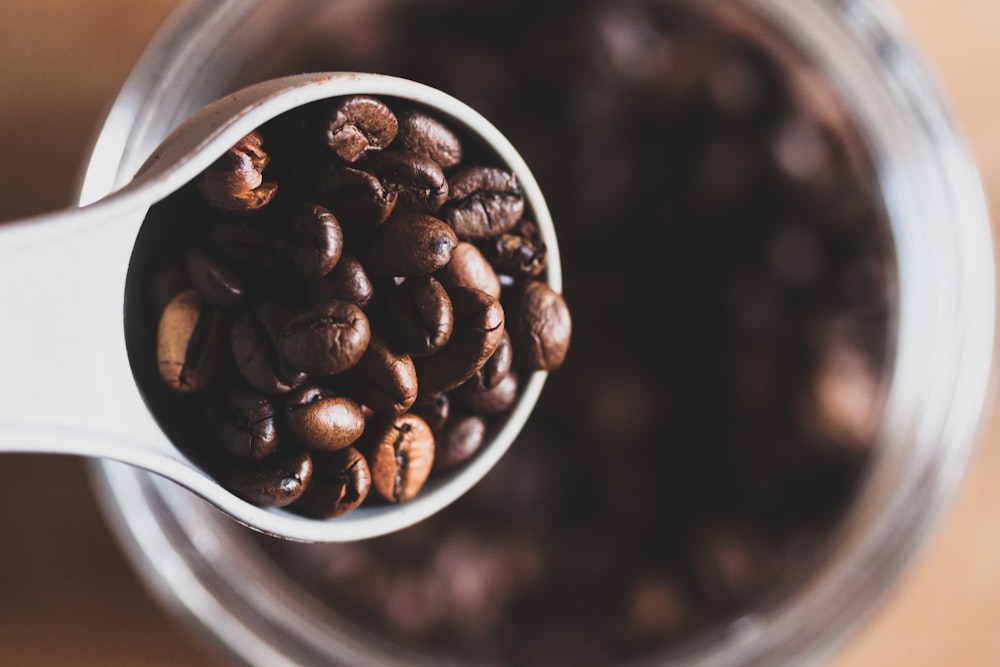 coffee beans on cup