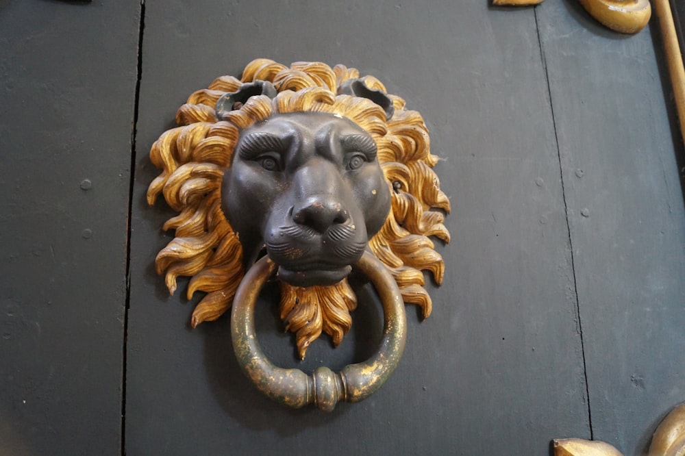 black and brown lion door knocker