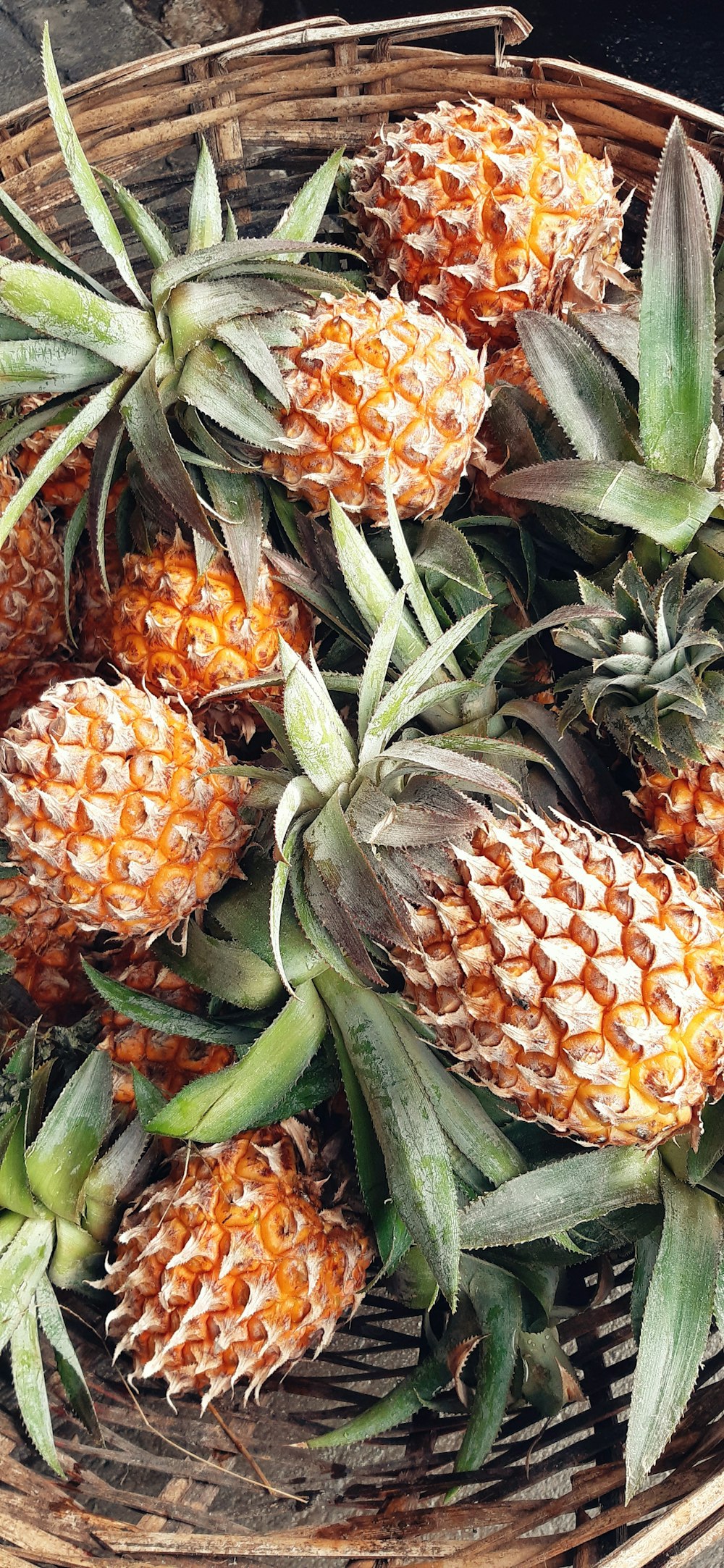 Ananas im Korb