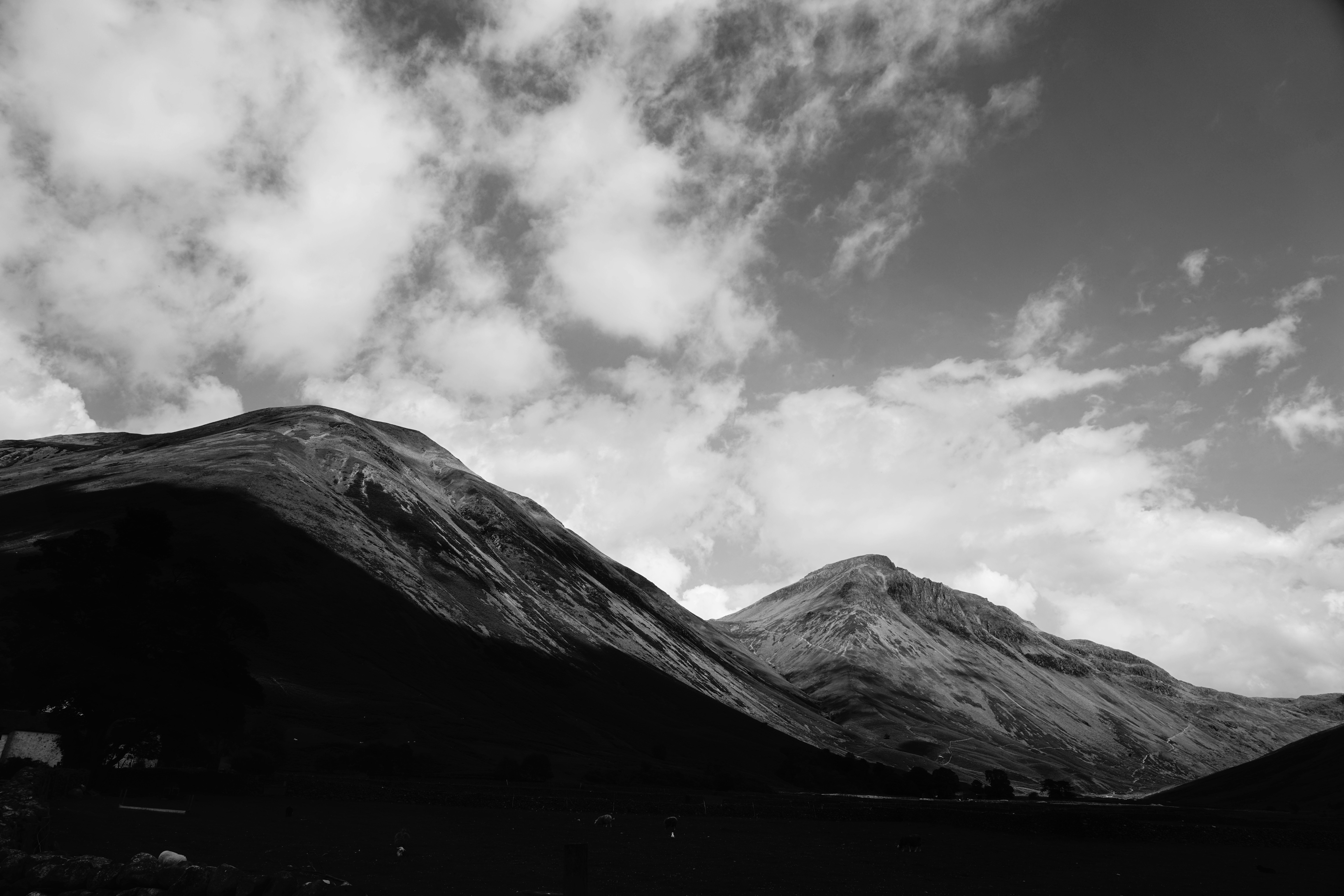 Photo by tomasrobertson