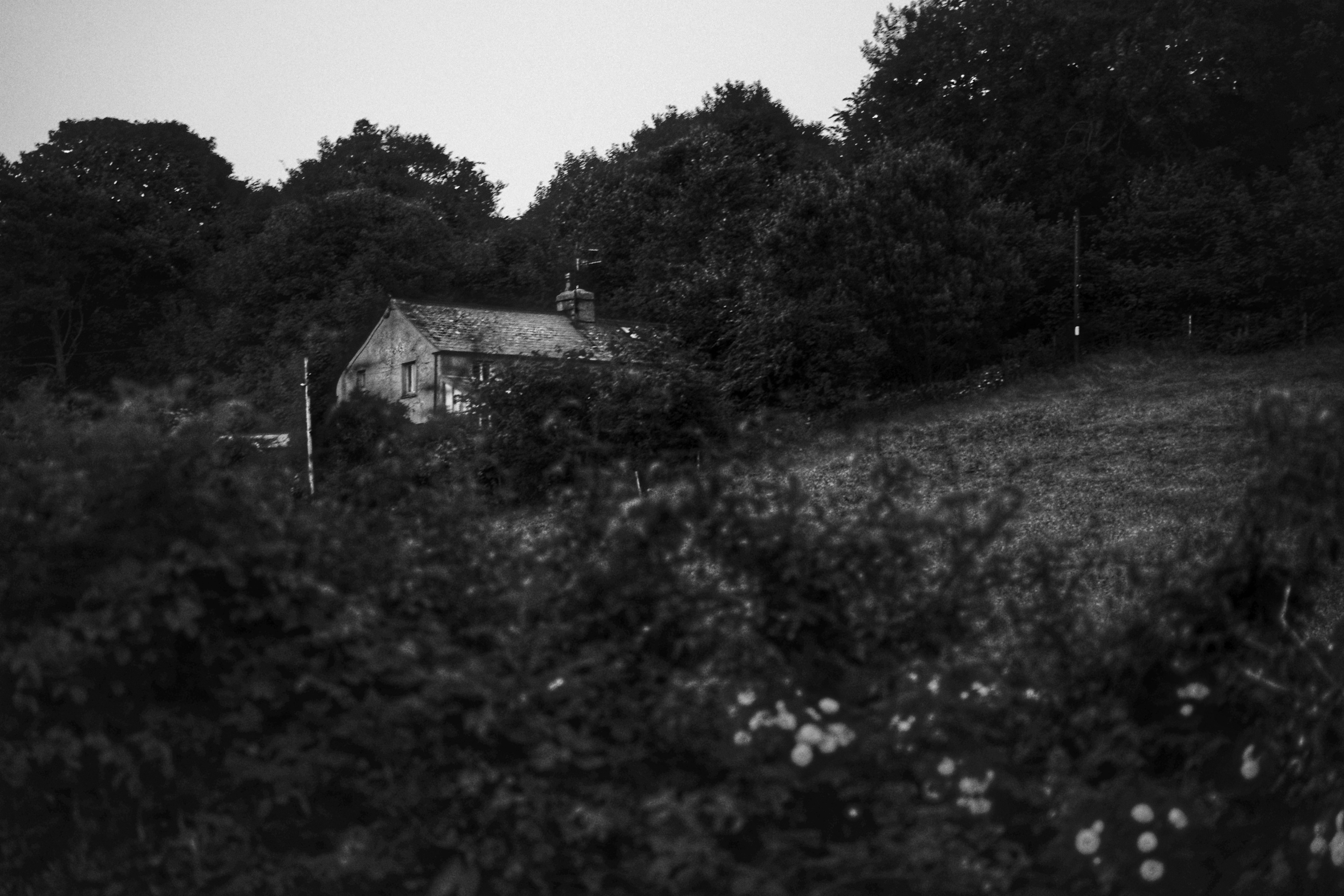 Photo by tomasrobertson