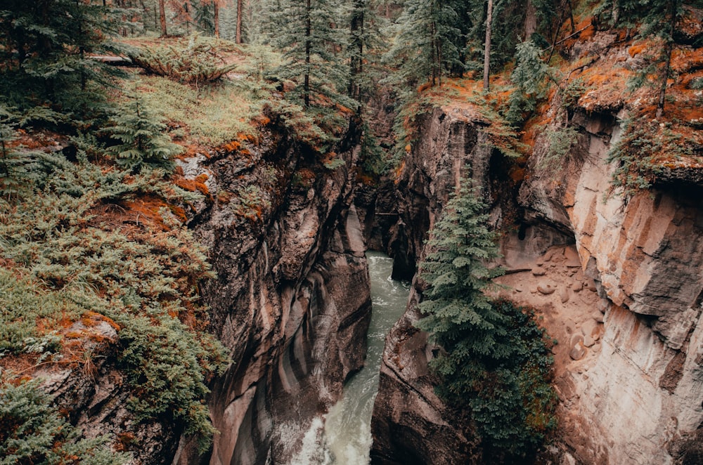 fiume tra le montagne