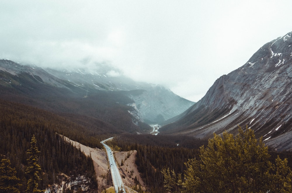 aerial photography of road