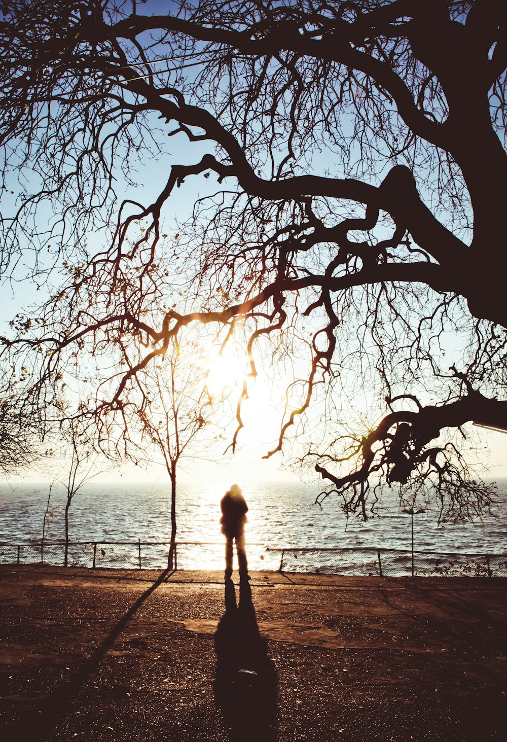 silhouette of person standing near body of water