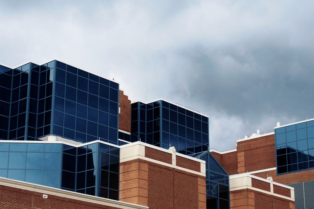 brown and blue building