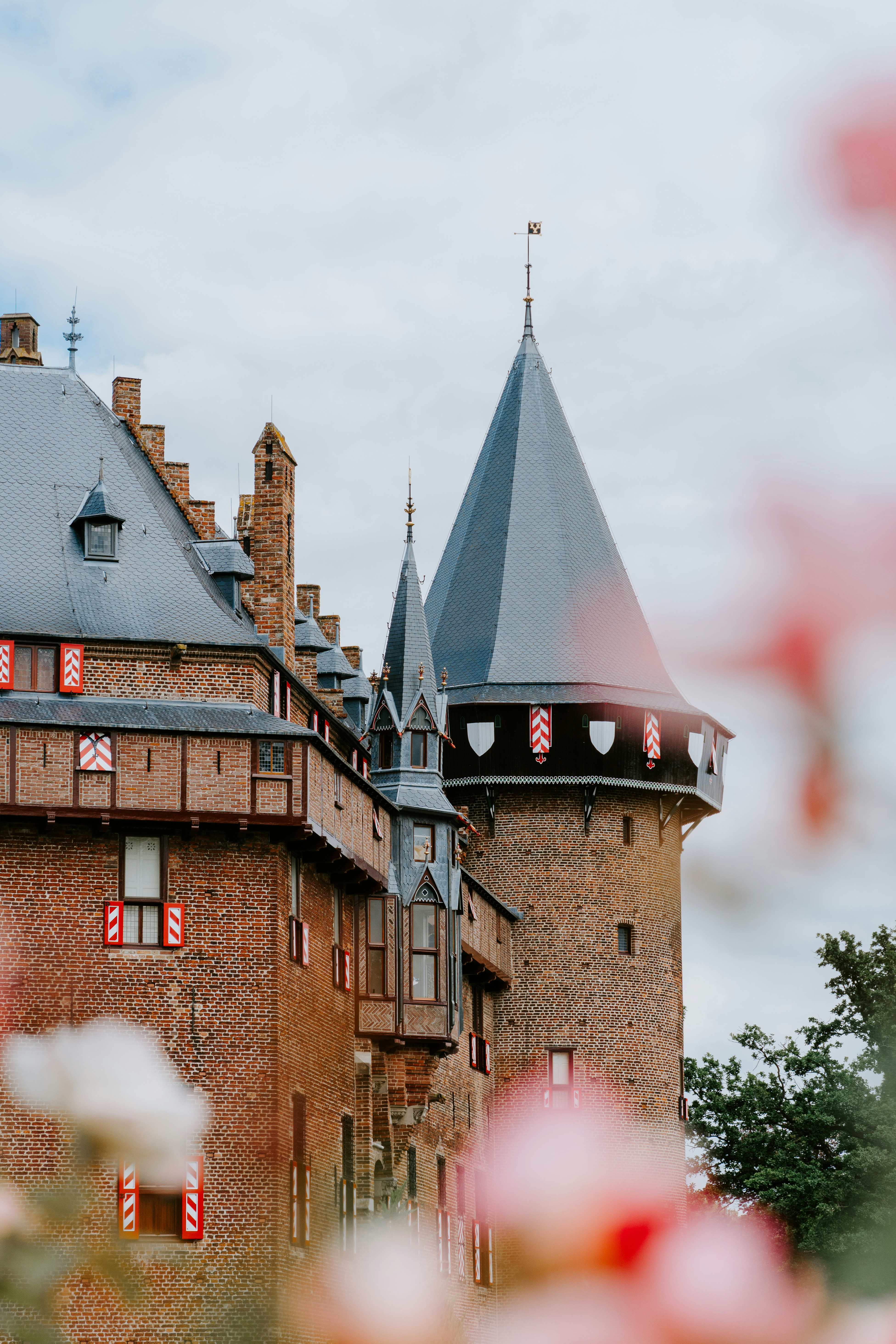 Photo by jeancarloemer