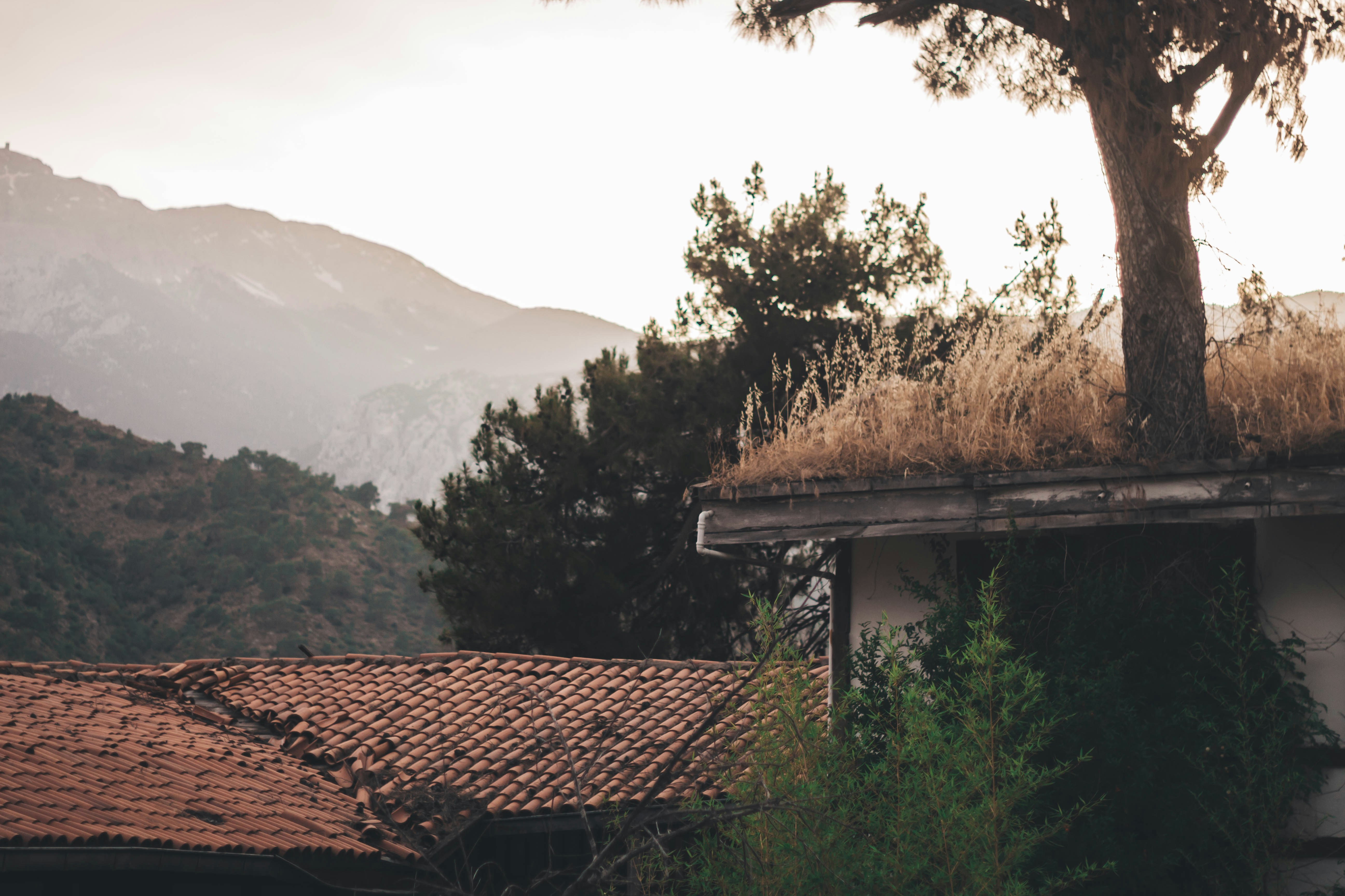 Photo by anestislove