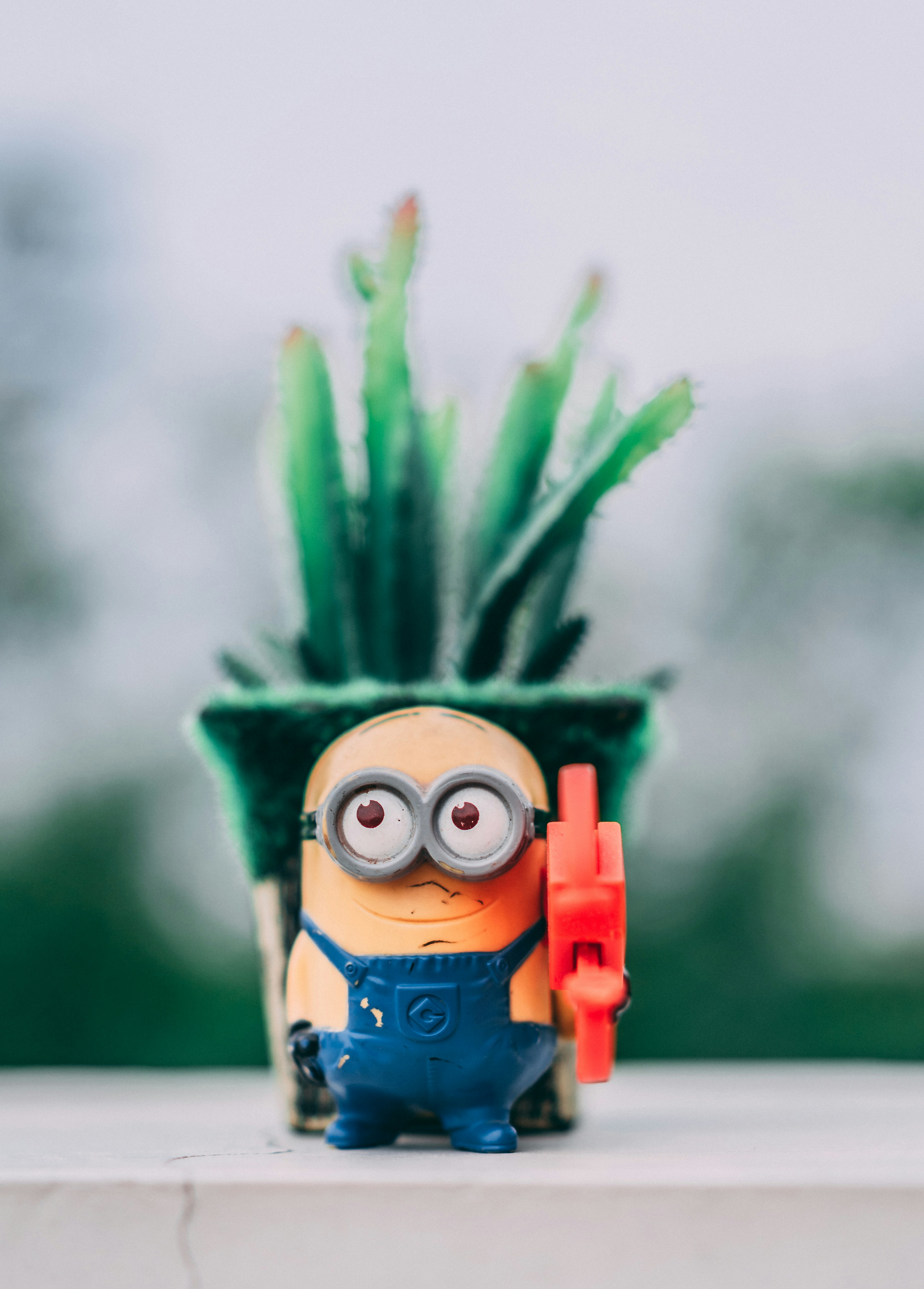 Photo by suicide_chewbacca