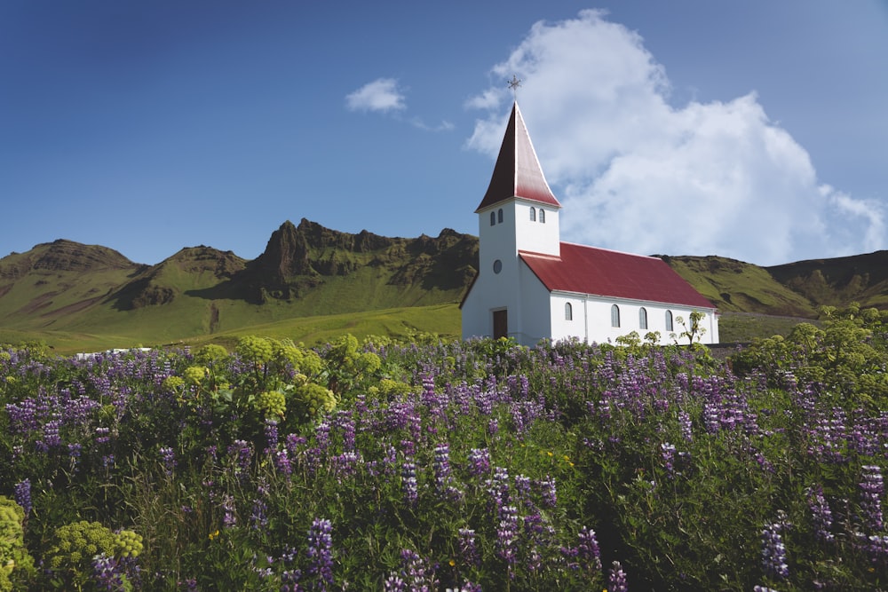 chapel near flower field