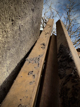 Rustic pine boards leaning against a forest backdrop.