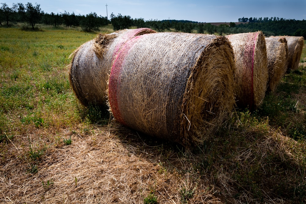 hay bale