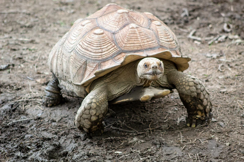 Adventure travel Galapagos bucket list