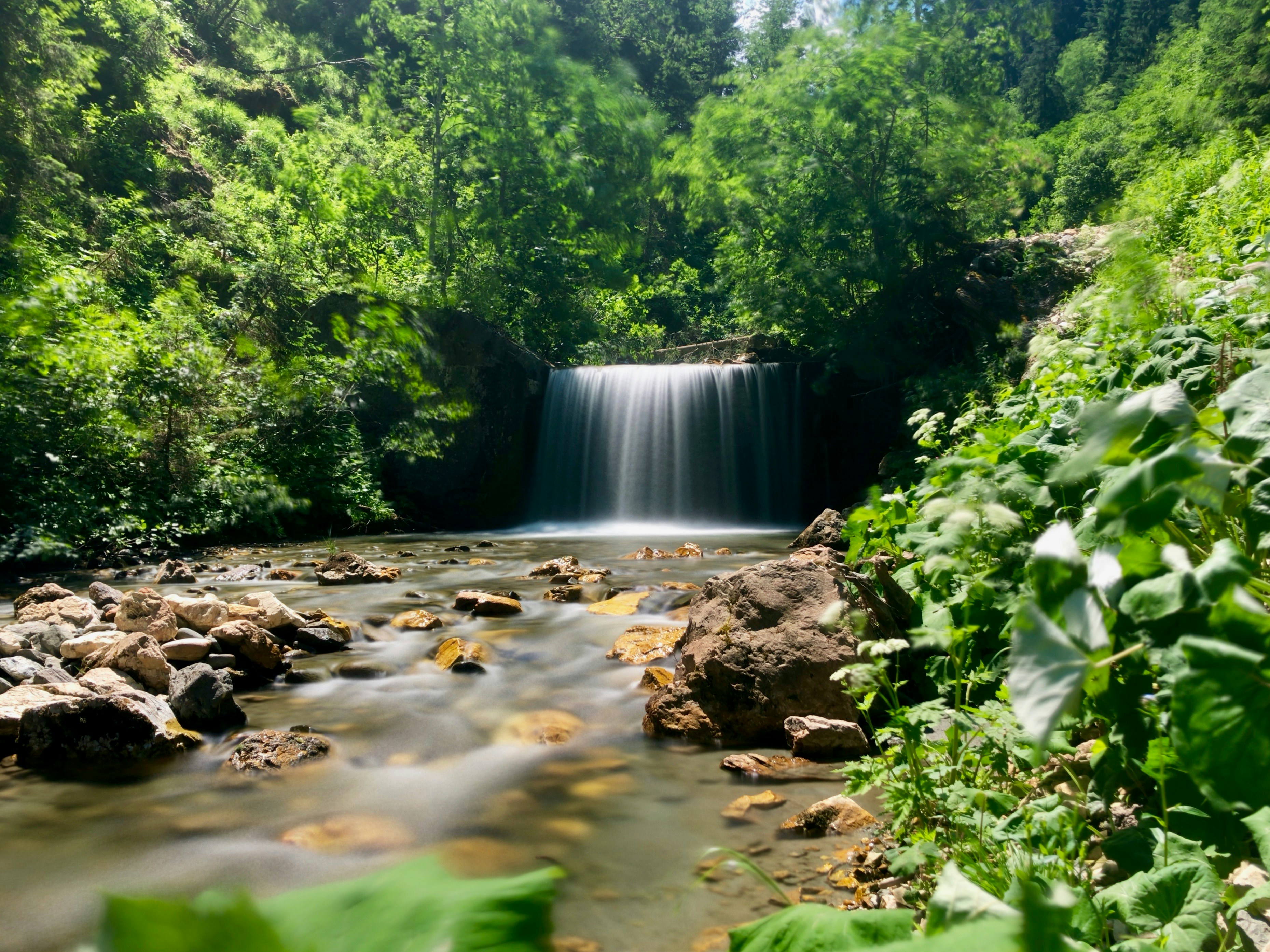 Photo by jindrichsamec