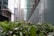 A row of modern glass buildings extends along a city street, with a focus on green foliage in the foreground providing a natural contrast to the urban architecture. The tall structures feature large glass panels and reflect the cityscape. There is a sign indicating 'Churchill Place' and 'Service Area 3' in the background.