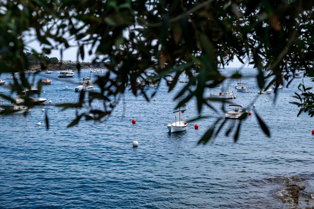 white yacht on sea