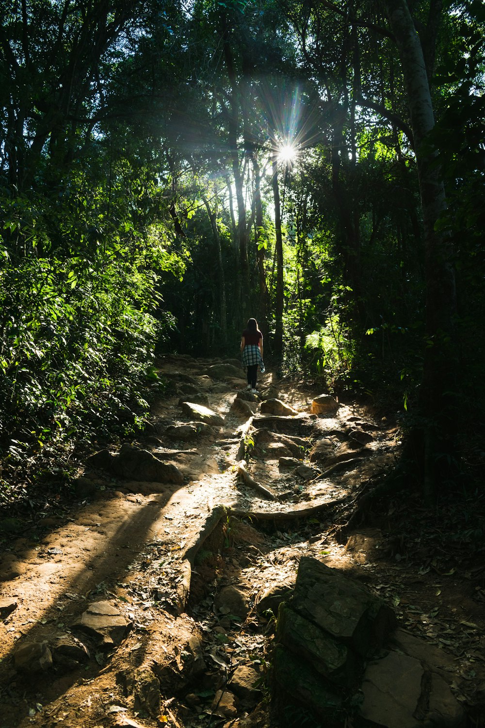 woman walking on forest