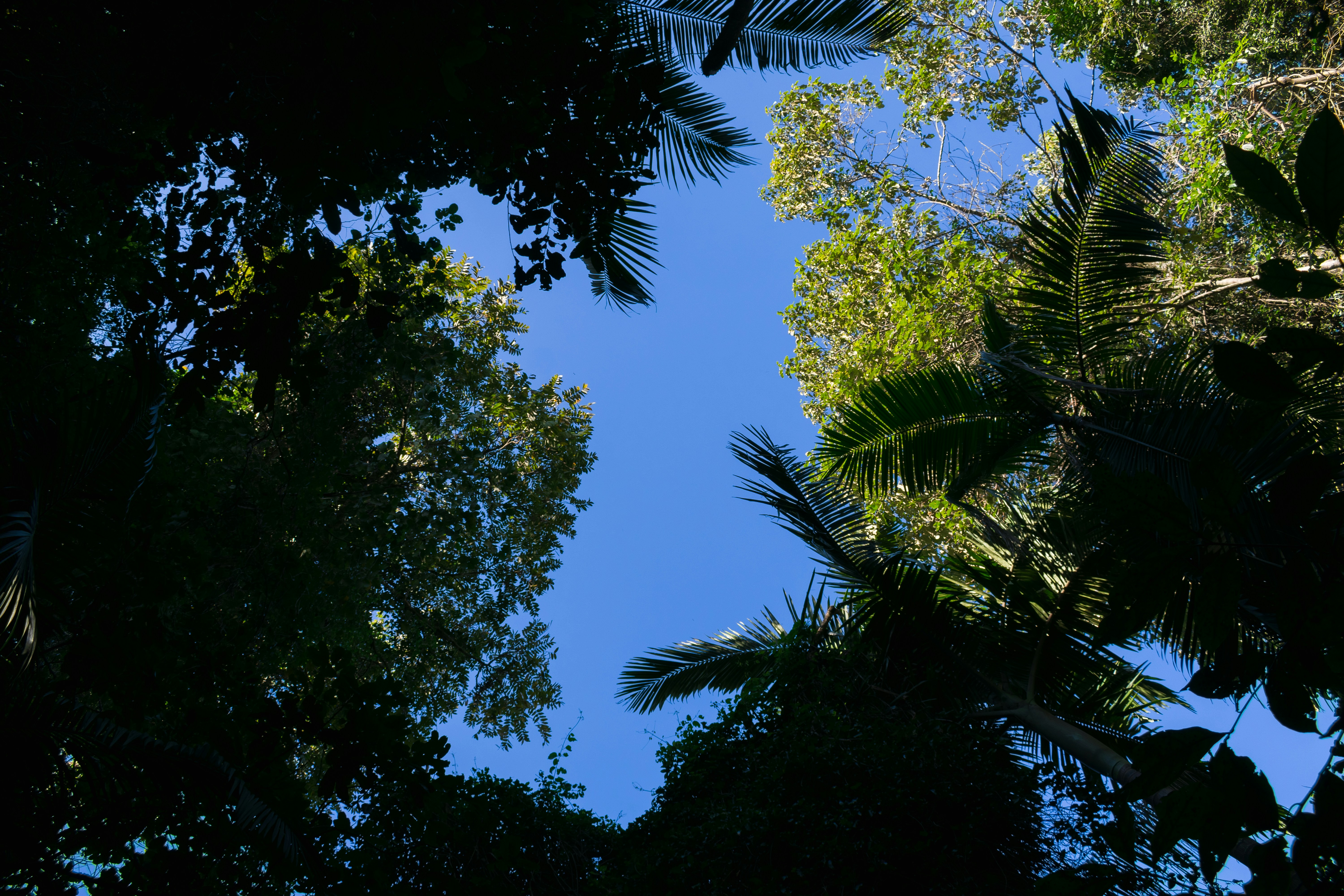 Photo by hemersoncoelho