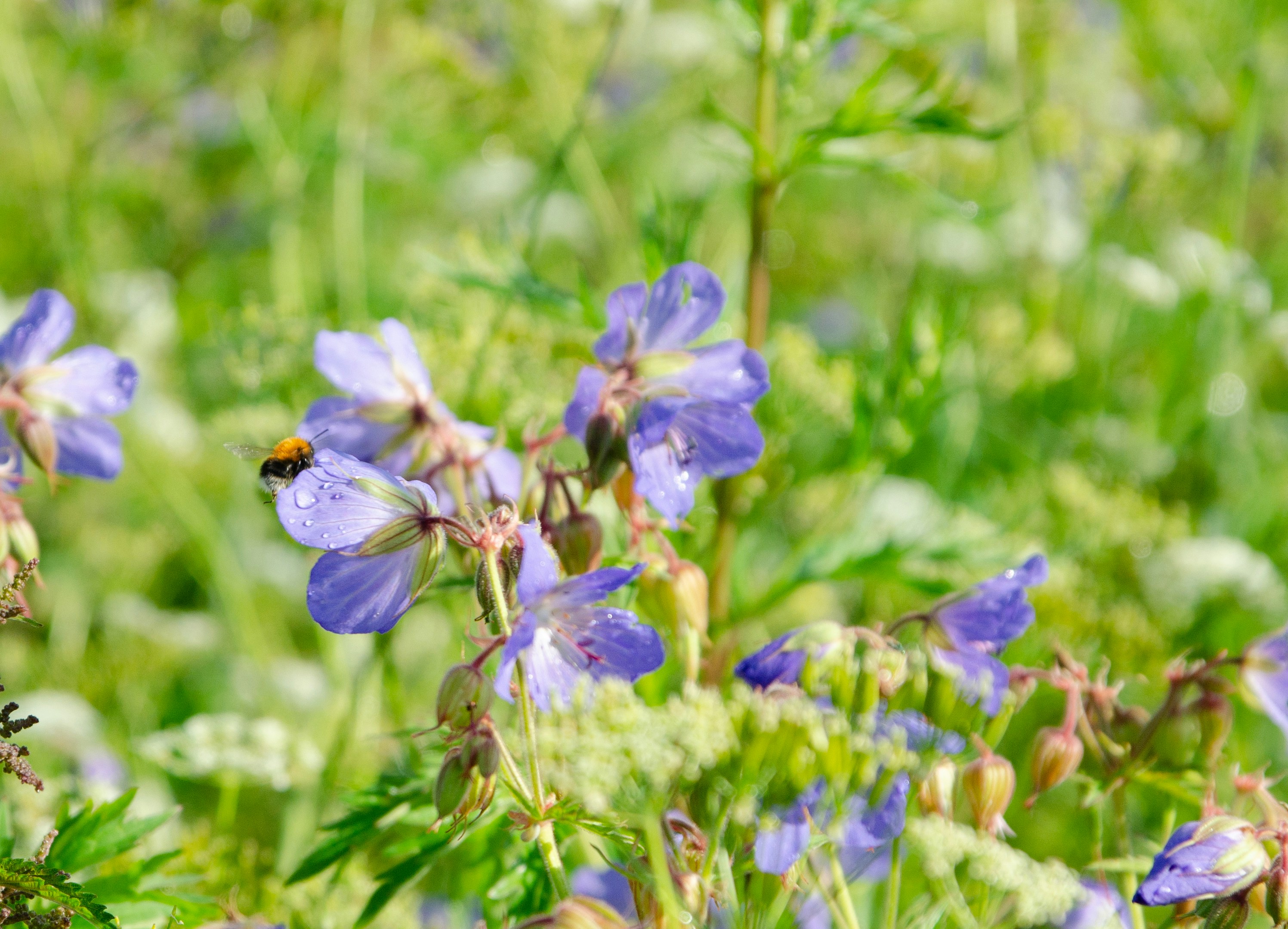 Photo by alexkhaizeman