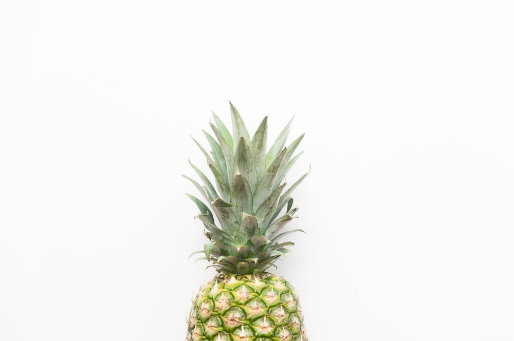 pineapple fruit close-up photography