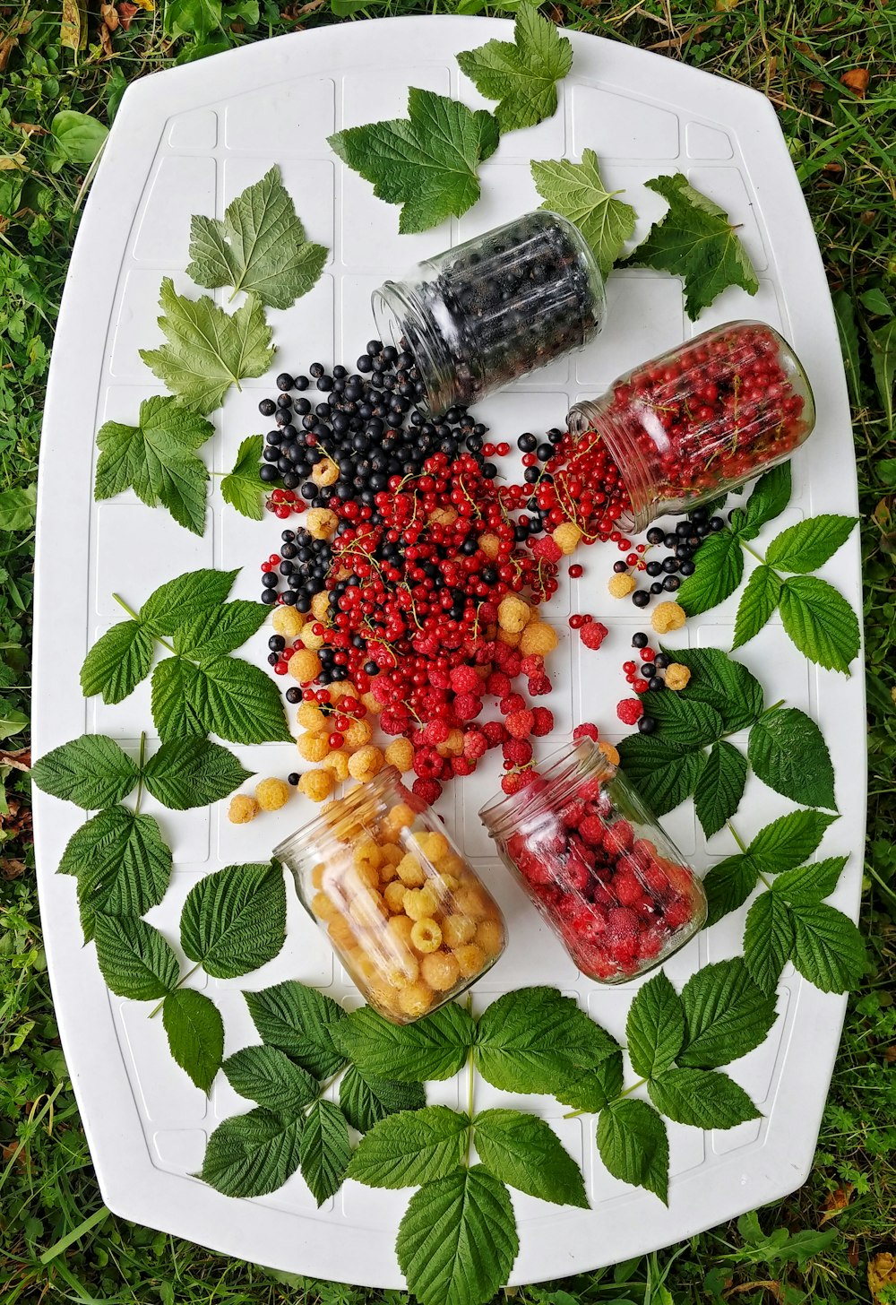 four jars of cherries