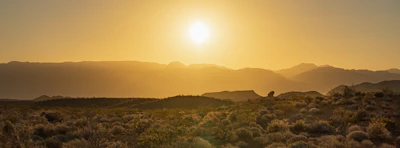 Close-up of a sleek gold detector scanning a sandy desert landscape at sunset.