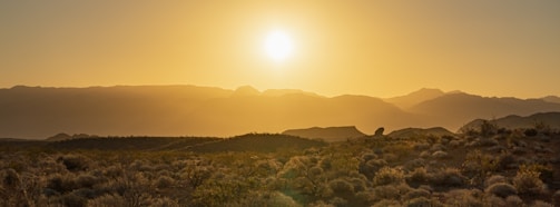 Students exploring Nevada's desert landscapes at golden hour.