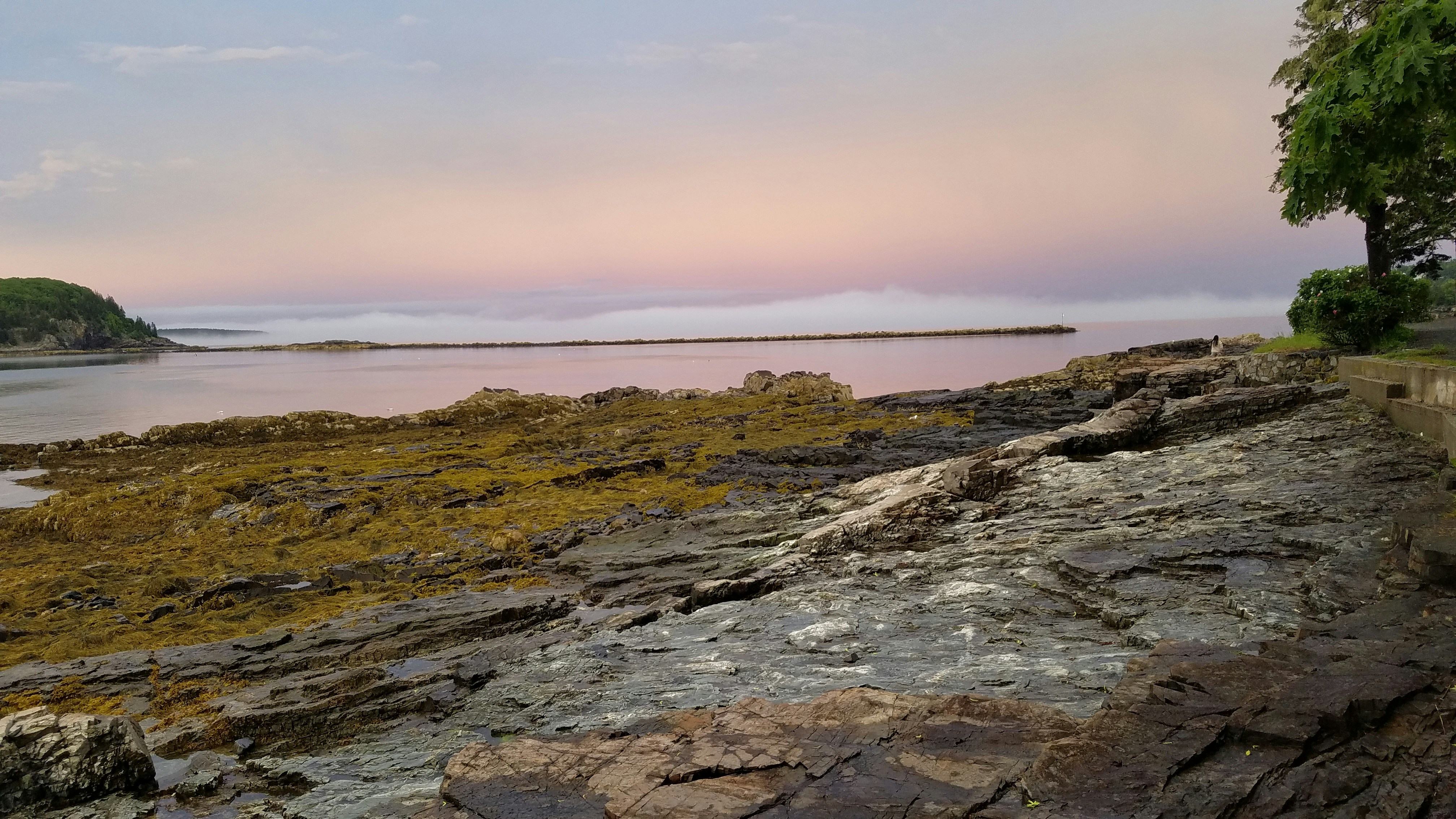 Photo by somethingmagical