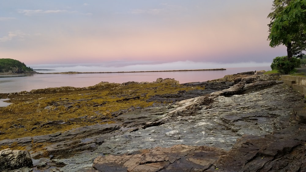 rock near shore