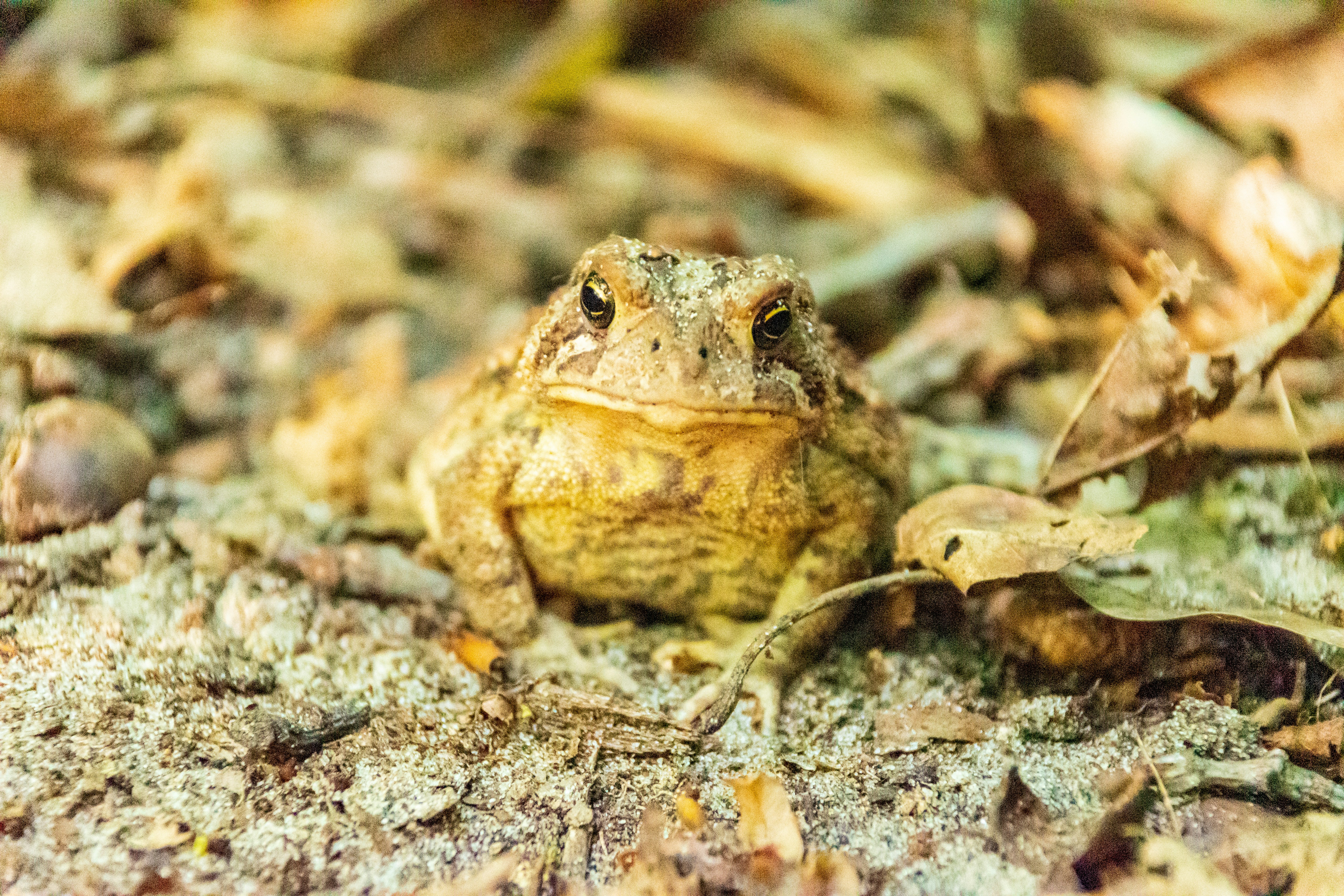 Photo by christopherphigh