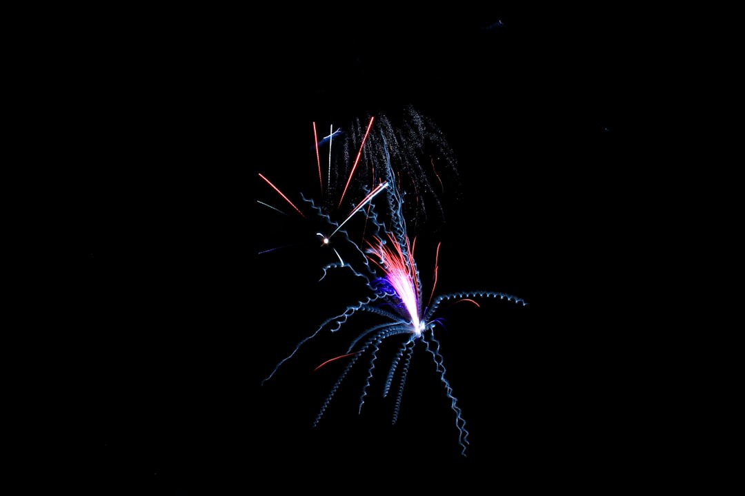 fireworks during nighttime