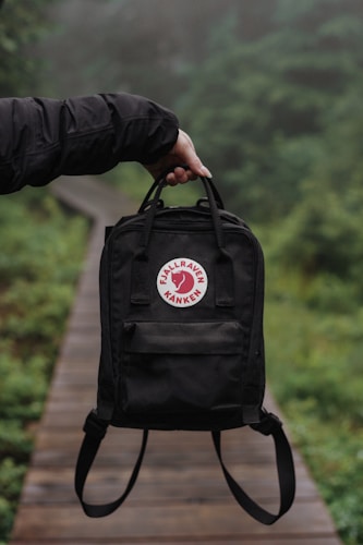 North St. Bags Davis Daypack
