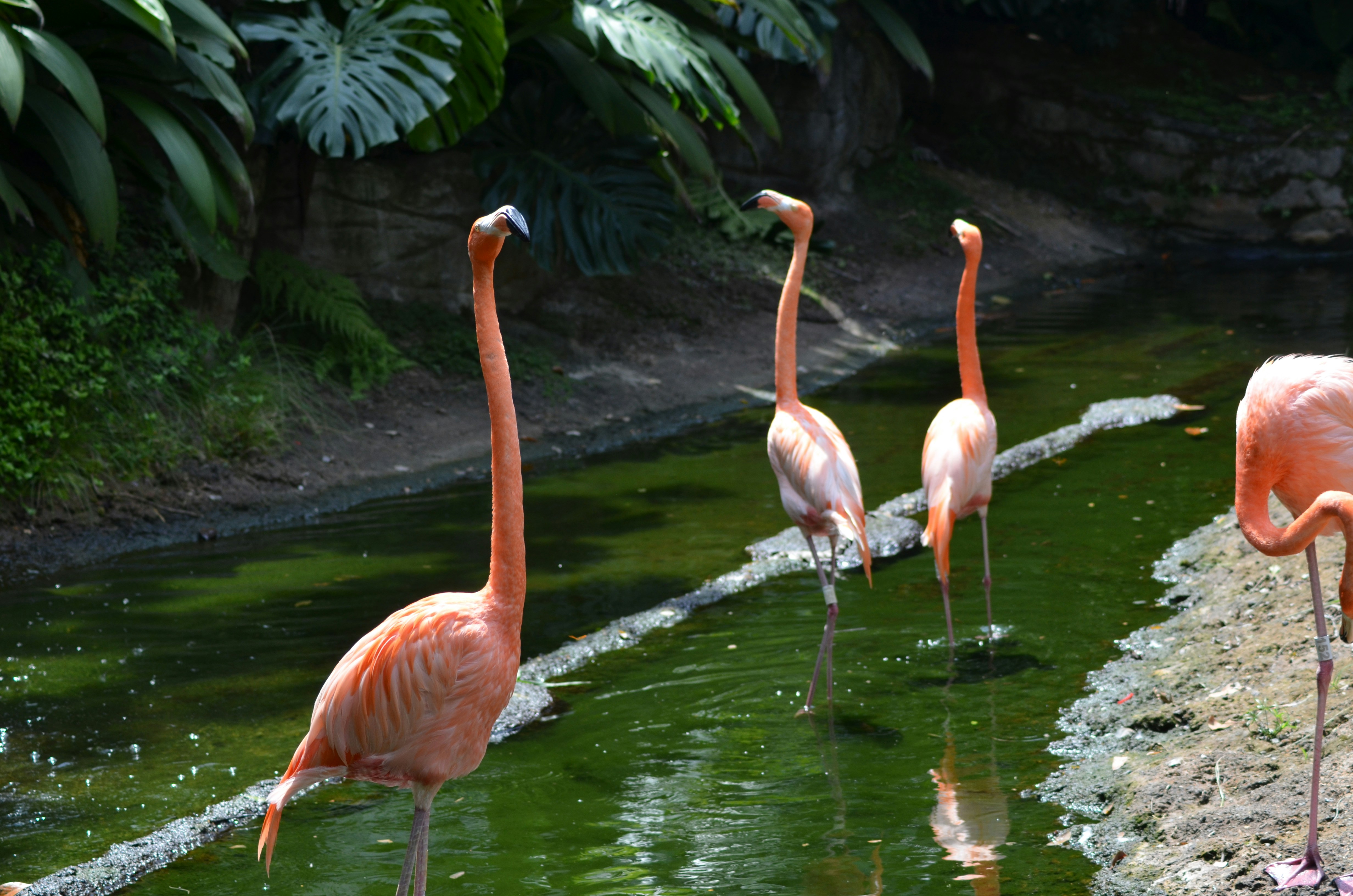 Photo by jcguarinpenaranda