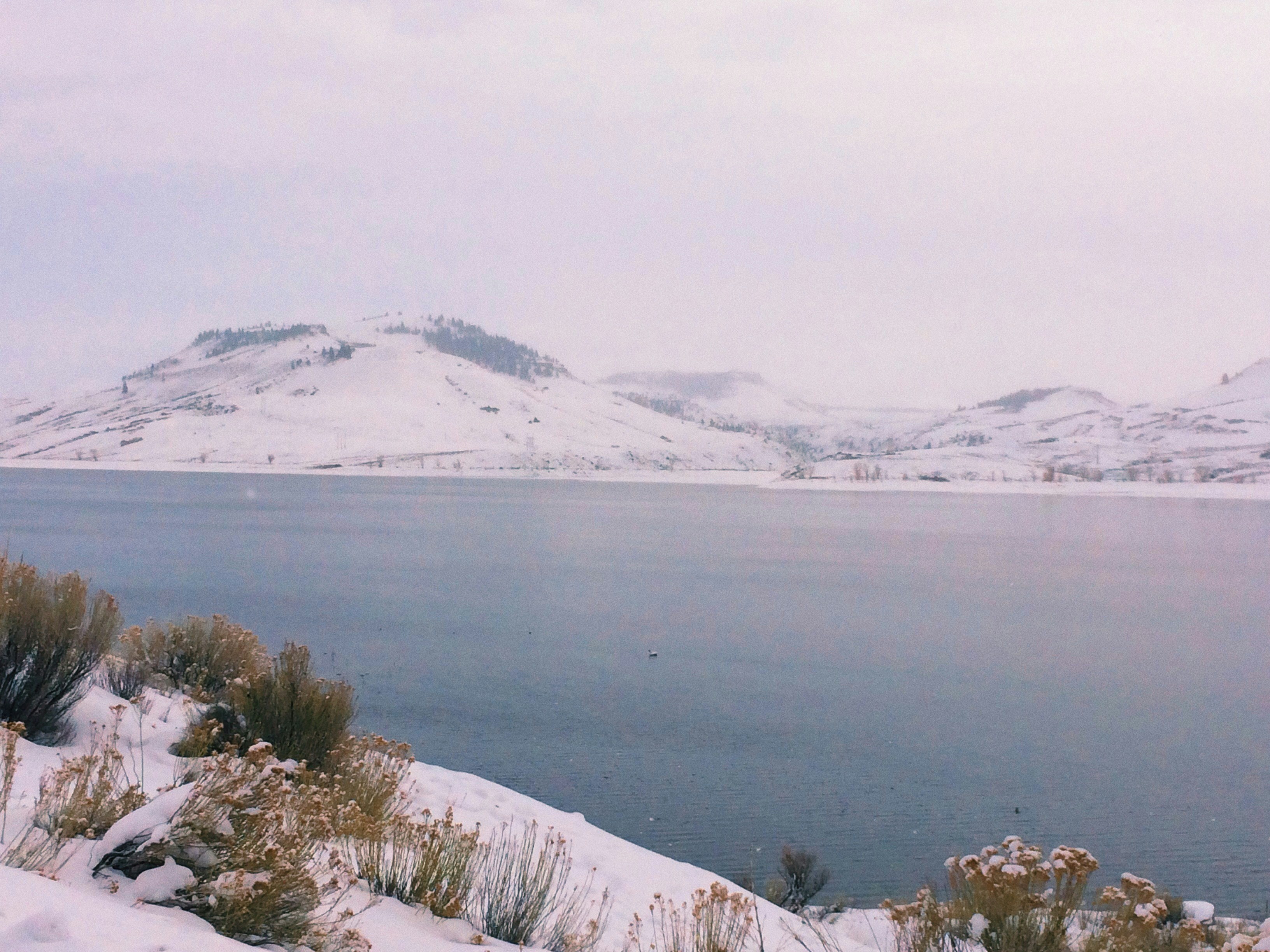 Photo by taylorngregory