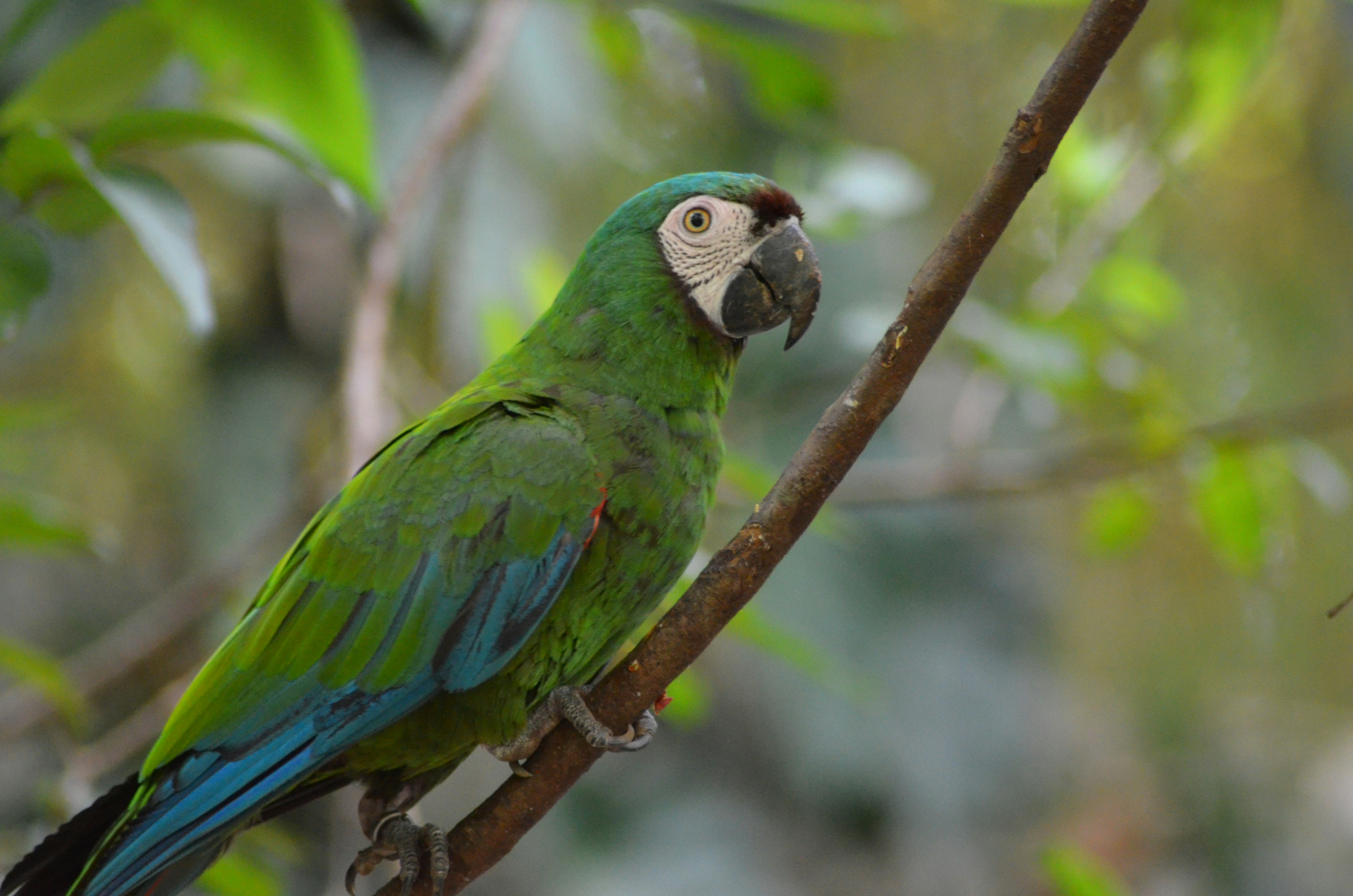 Photo by jcguarinpenaranda