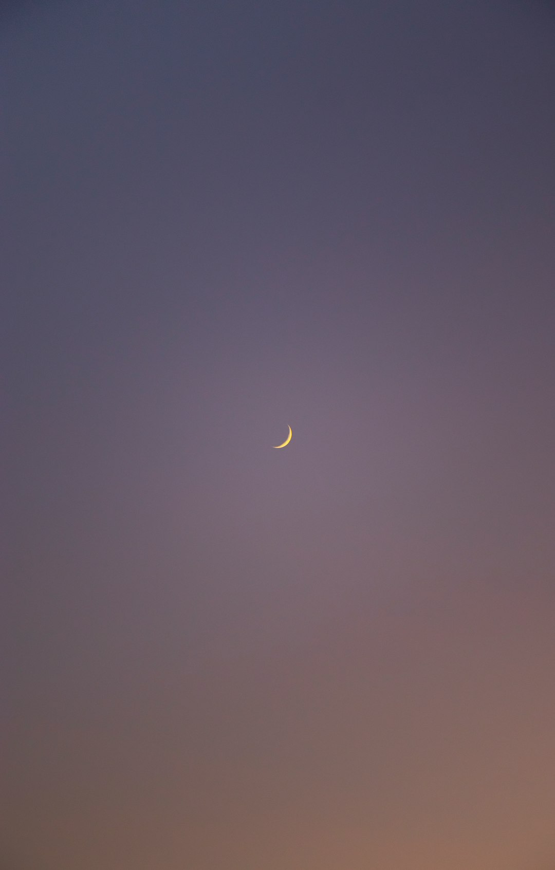 white crescent moon on purple sky