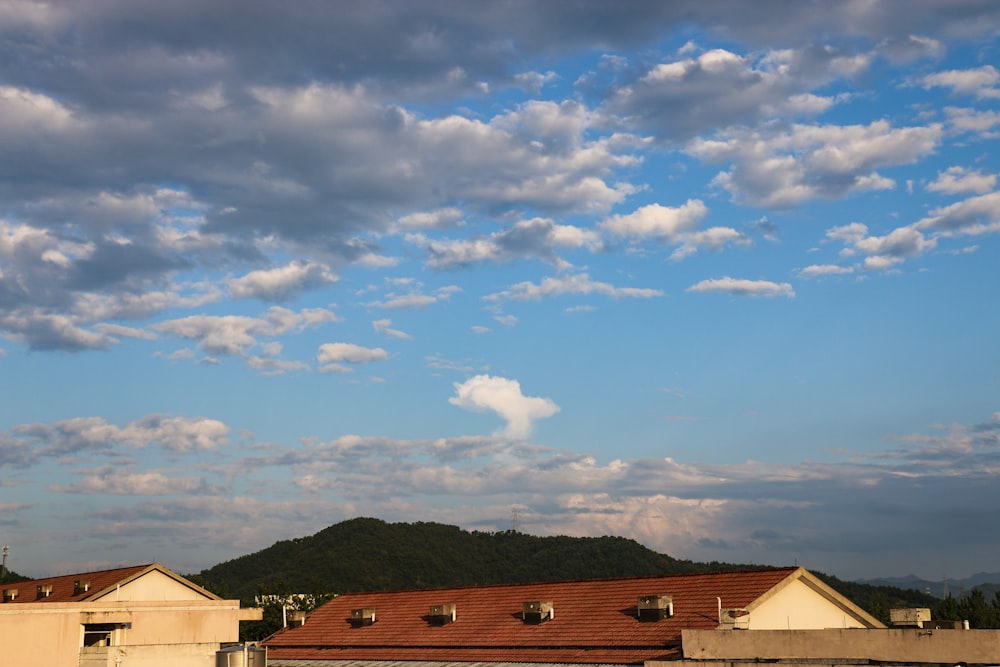 red roofs under cloudy sky