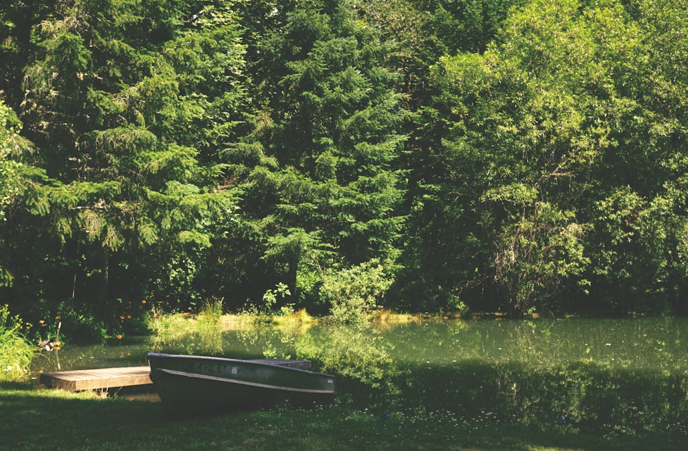 speedboat on grass near body of water