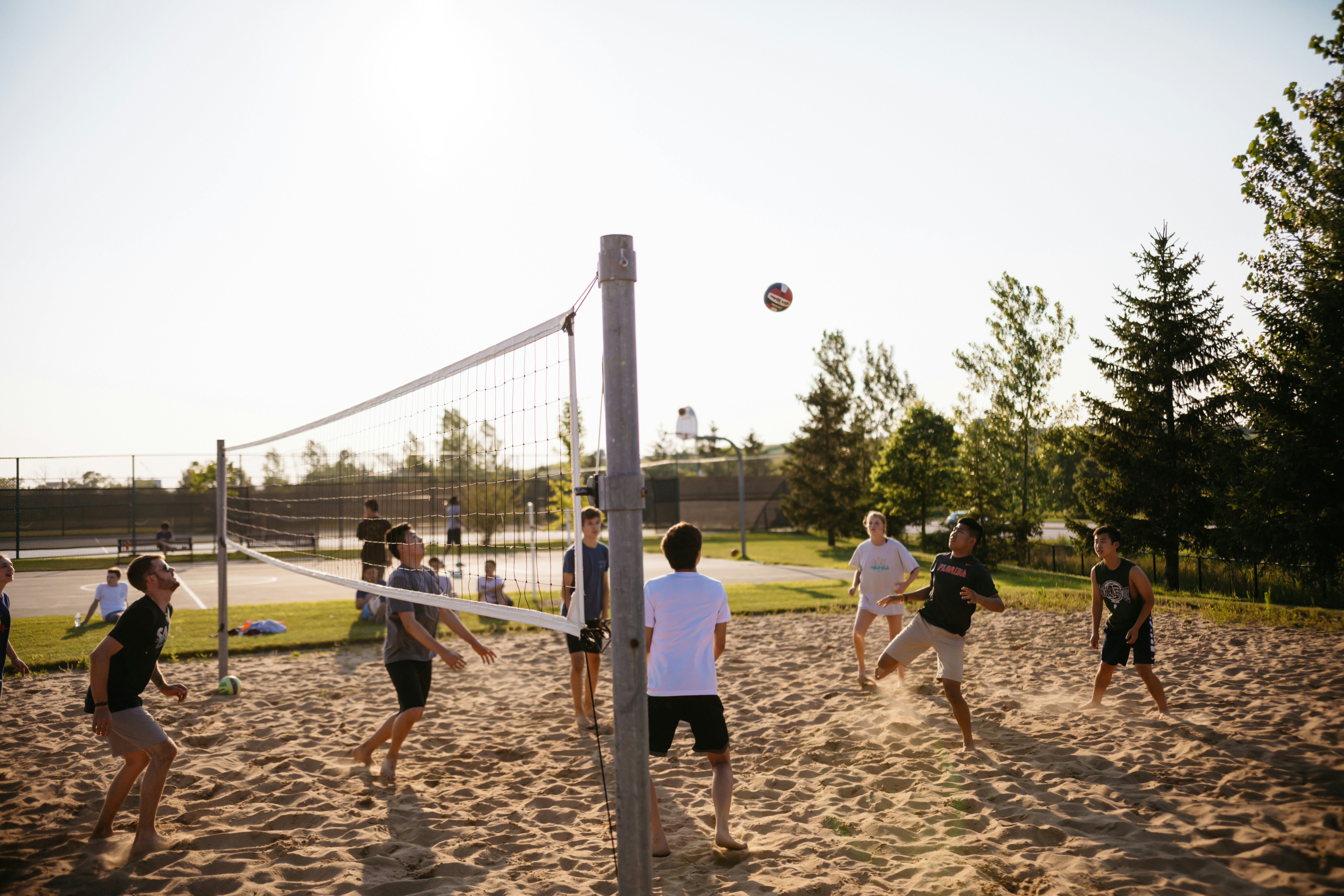 men playing volleyball near pine trees volleyball teams background