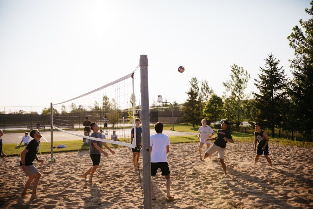 men playing volleyball near pine trees
