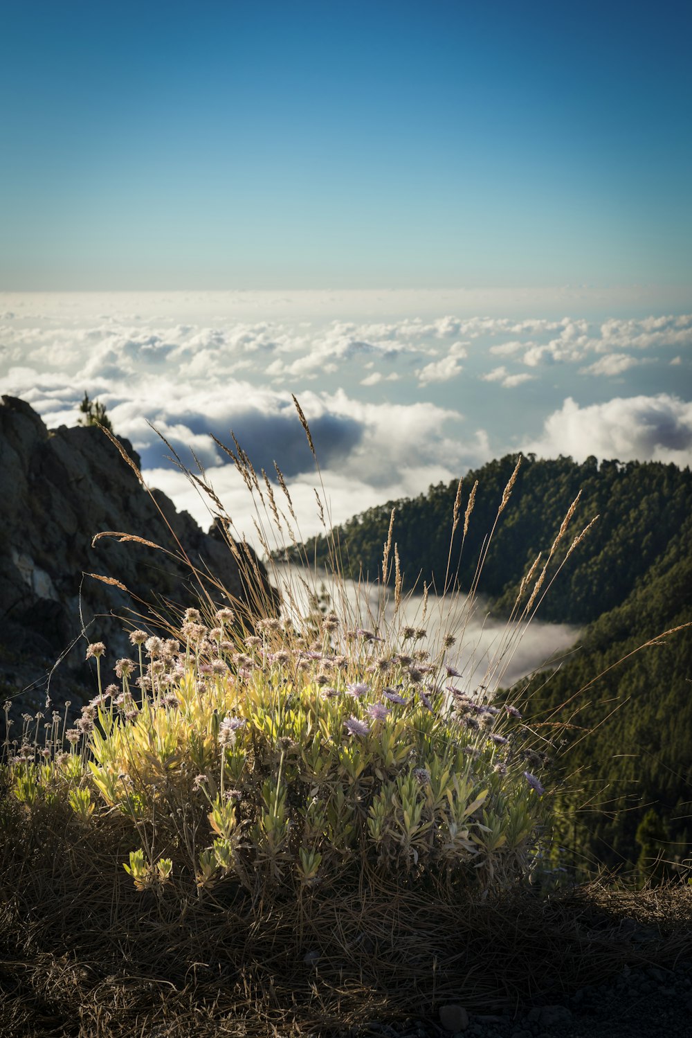 aerial view of mountain and clouds