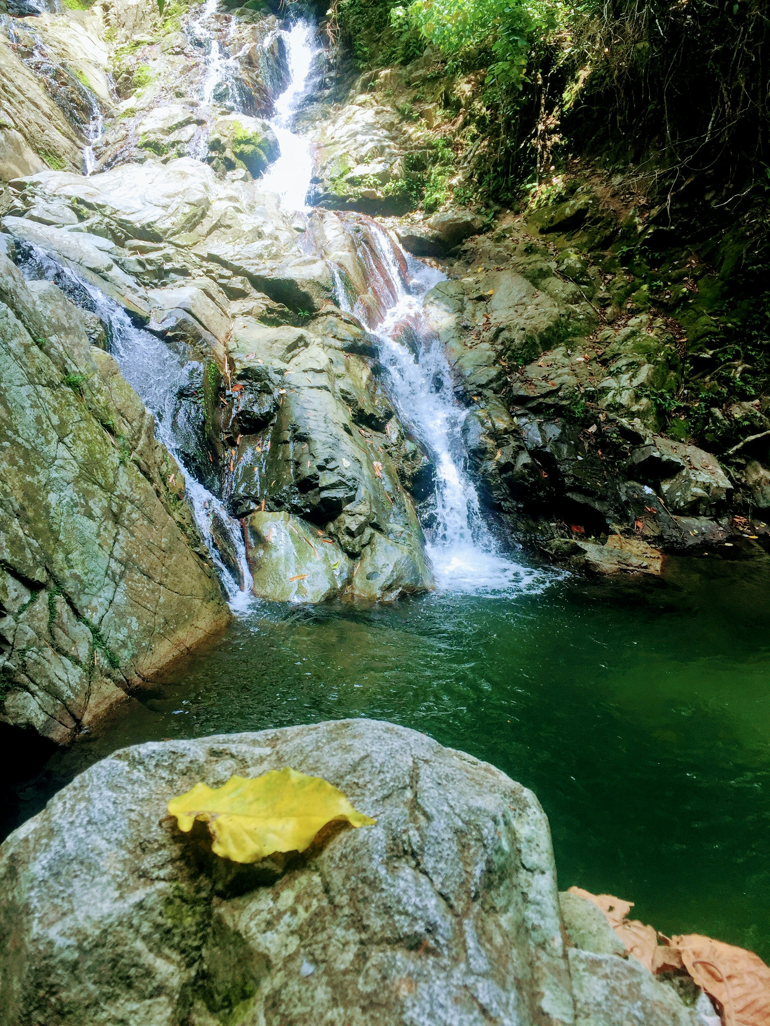 Photo by amidemanila