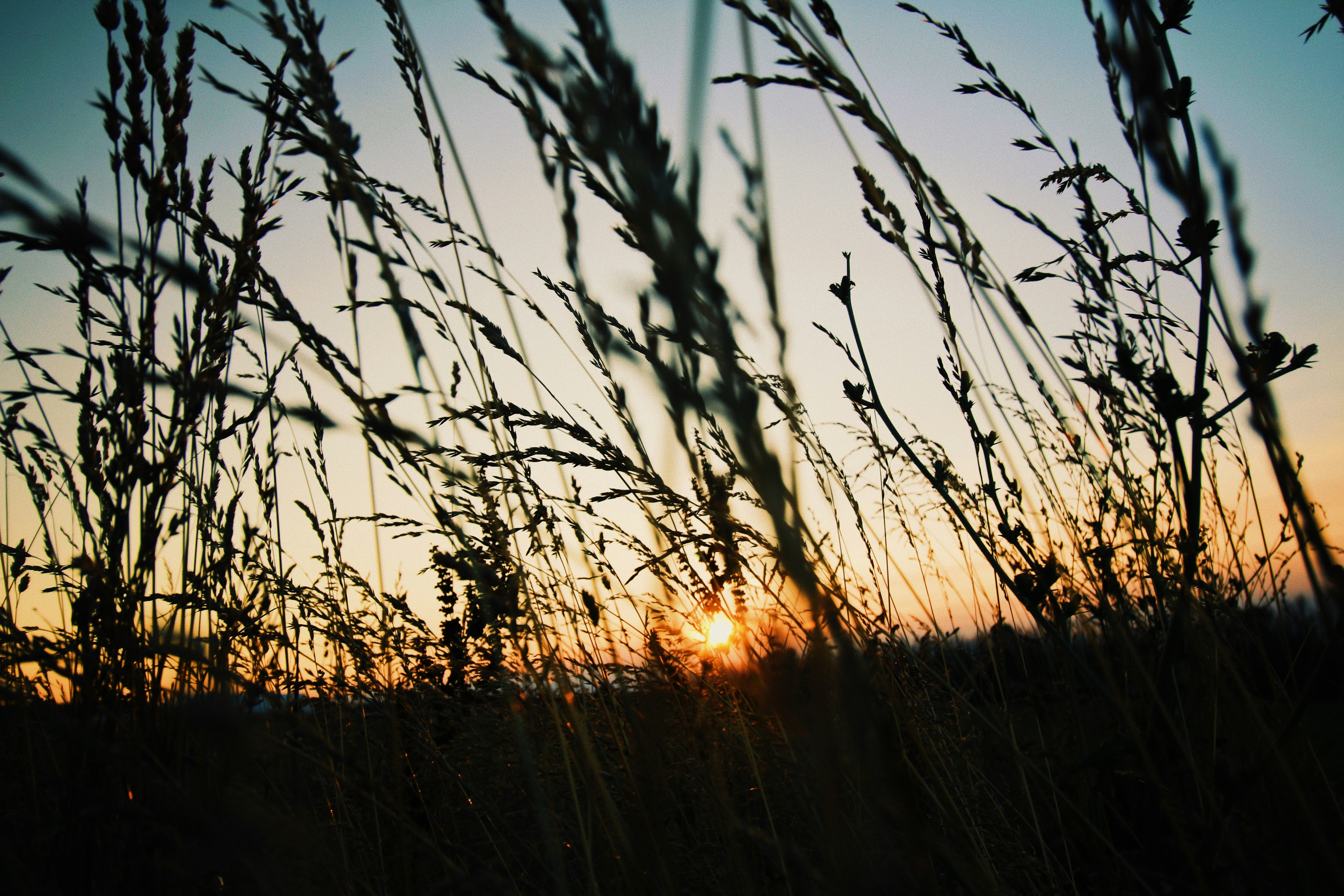 Photo by yassine_khalfalli