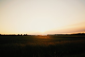 Sunset over a vast field of temporary crops with clear skies.