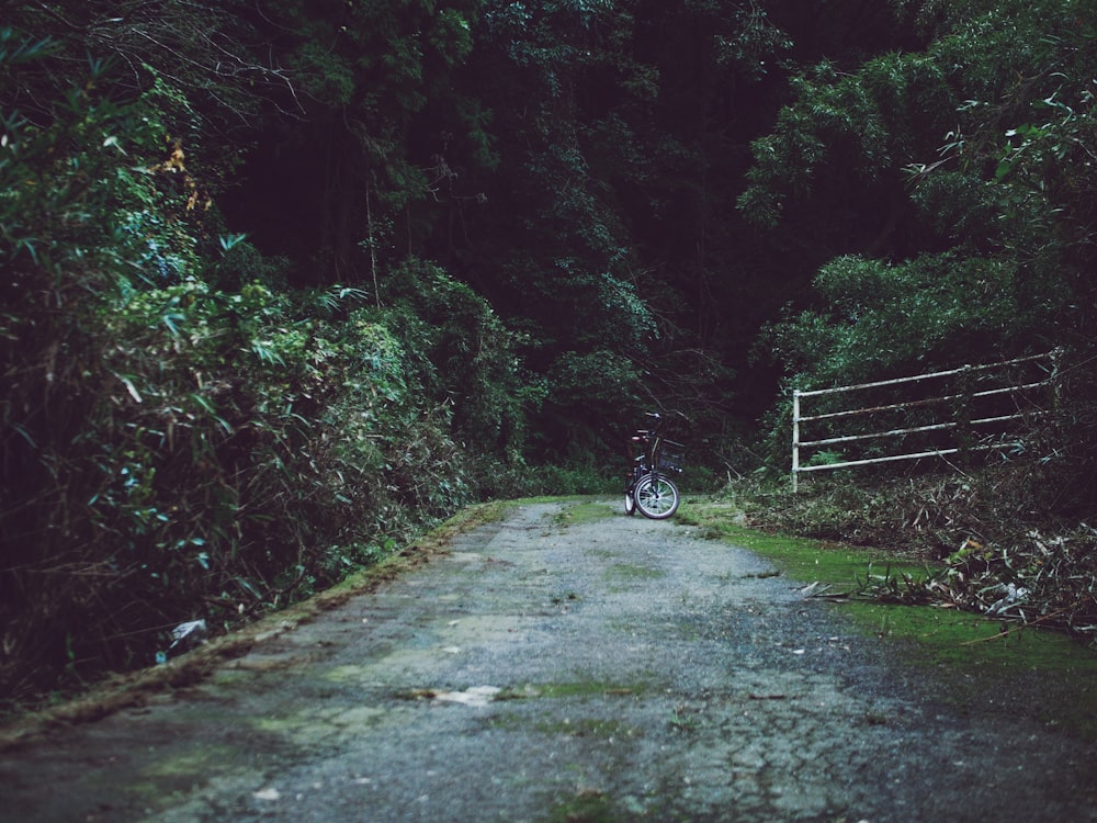 bike park between trees