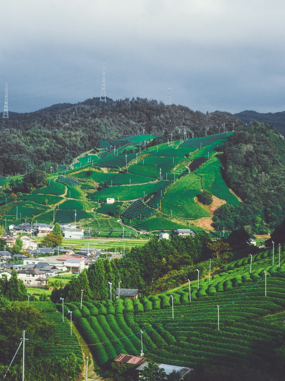 grass, building, and tree covered field and mountains