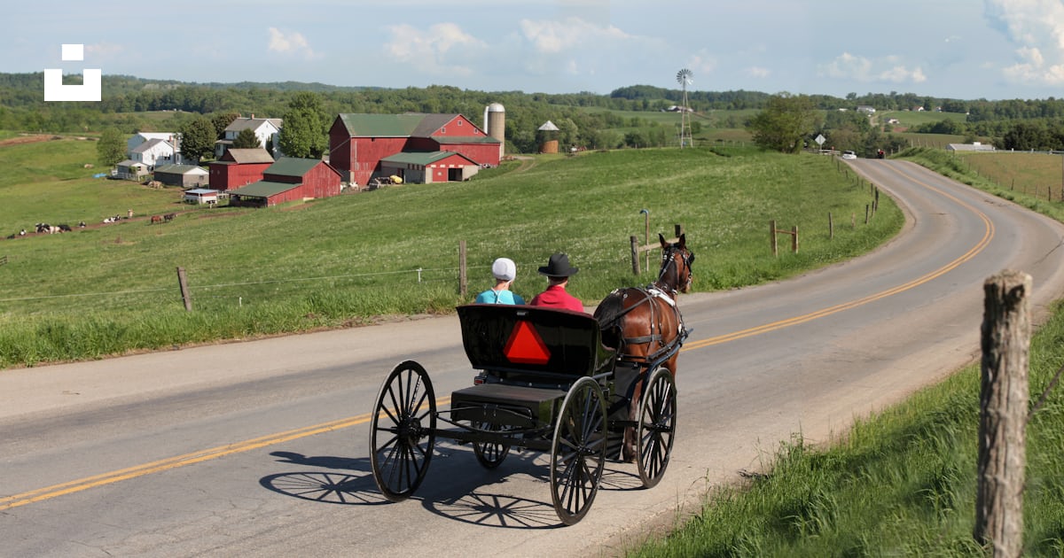 Person riding carriage during daytime photo – Free Person Image on Unsplash