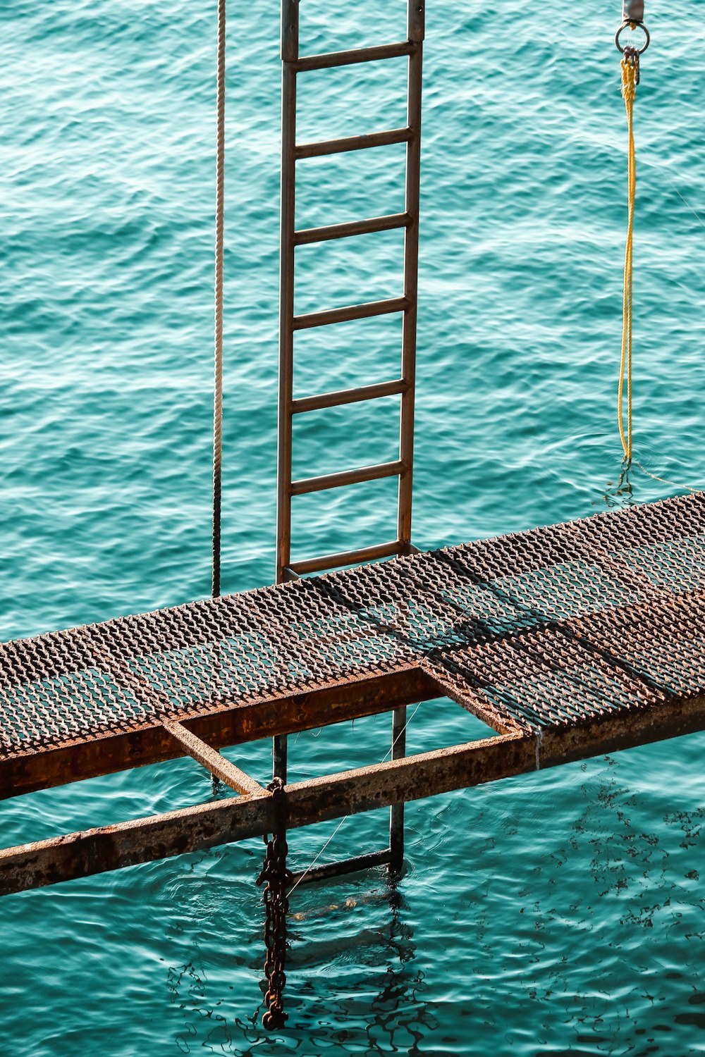 gray metal ladder on body of water
