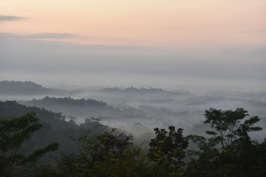 Hill station photo spot Borobudur Gunung-kidul